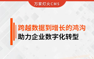 跨越數(shù)據(jù)到增長的鴻溝，助力企業(yè)數(shù)字化轉(zhuǎn)型